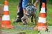Welpen  23.08.2025 31